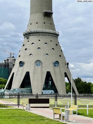 Из-за мороза в Москве обледенела Останкинская башня: фото | РБК Life