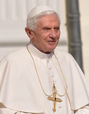 Что не так с мирной миссией Папы Римского Франциска | Комментарии Украина