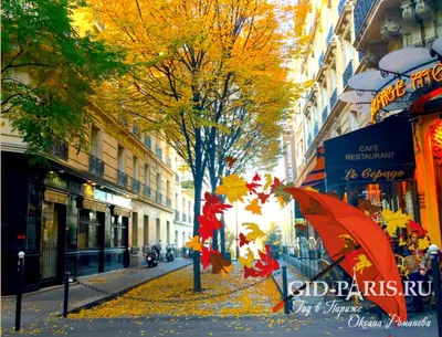 Фото Париж осенью фотографии