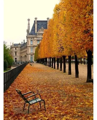 Осенью в Париже: ПЛАНИРОВАНИЕ ПОЕЗДКИ, осенние фото, погода, уличная мода  2018 - как одеваются парижане, каникулы в Диснейленде