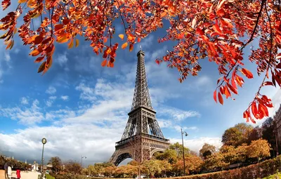 Природотерапия. Осень в Париже.