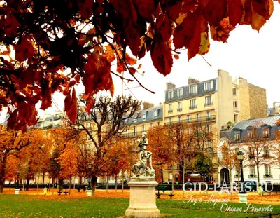 7 причин поехать в Париж осенью | Блог неутомимой путешественницы | Дзен