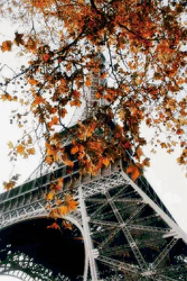 Фотообои Осень в Париже вид на Эйфелеву башню купить на стену • Эко Обои