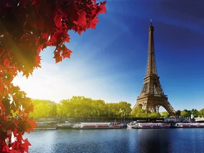 Осень в Париже, красивые деревья, …» — создано в Шедевруме