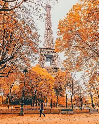 Осень в Париже: 24 фотографии — Российское фото