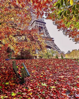 Что делать в Париже осенью?