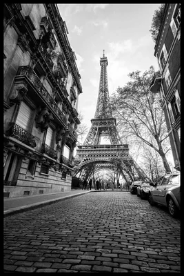 Фотообои Чёрно-белый Париж