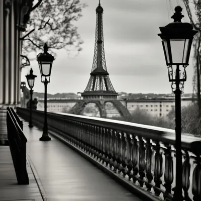 Париж. Черно-белое» — фотоальбом пользователя ulalana на Туристер.Ру