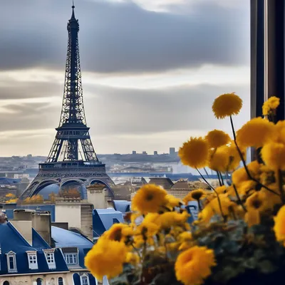 Париж из окна - 65 фото
