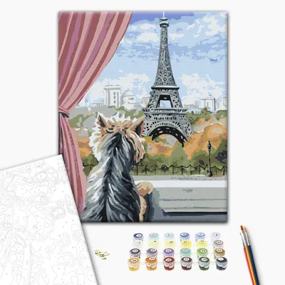 Окна Парижа: утонченный стиль и разнообразие форм