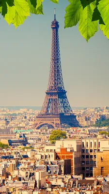 Pictures Paris Eiffel Tower France Sky Evening From above 640x960