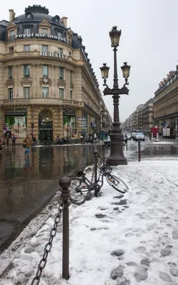 Париж в январе • Форум Винского