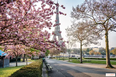 Чем заняться в Париже весной 2024 года? Идеи на сезон - Sortiraparis.com