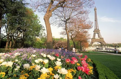 ᐉ Алмазная мозаика SHLab Весна в Париже SH-27756 полная выкладка 40x50 см  (27756)