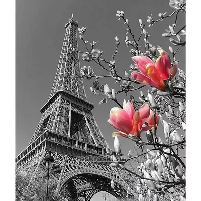 Париж весной: что делать, куда сходить, важные события