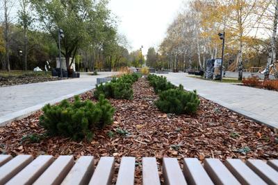 В Самаре обновили парк «Молодежный» - 27 октября 2022 - 63.ру
