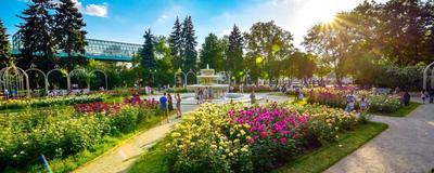Лучшие парки Москвы и Подмосковья: с фото и адресами на карте