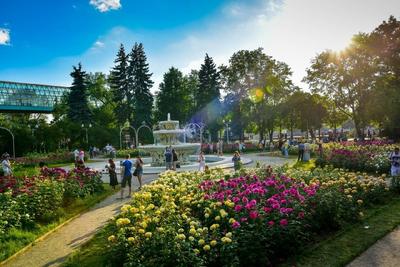 Лучшие парки Москвы и Подмосковья: с фото и адресами на карте