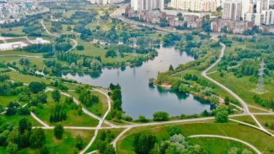 Там на неведомых дорожках: лесные тропинки в парках Москвы