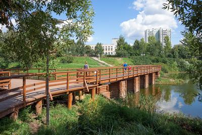 Лучшие парки Москвы для прогулки в новогодние праздники – The City