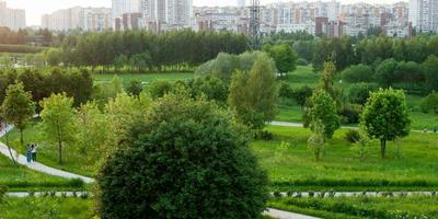 Зеленое сердце столицы: как благоустраивают парки Москвы