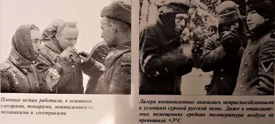 Немецкие солдаты, взятые в плен зимой 1943 года на территории СССР -  Галерея - ВПК.name