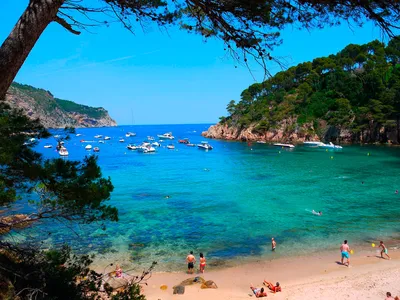 Новые правила посещения пляжей в Испании: Интересен ли нам их опыт? |  1news.az | Новости