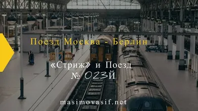 Скоростные поезда «Москва – Берлин»: экономия времени в пути не сказывается  на рентабельности проекта | Vgudok