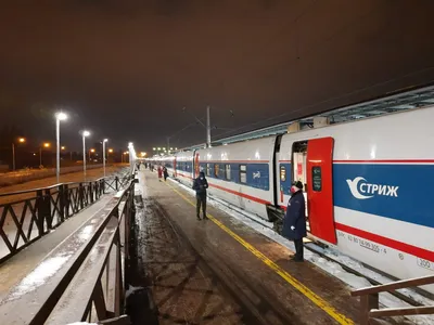 В Брянске «заблудился» испанский скоростной поезд
