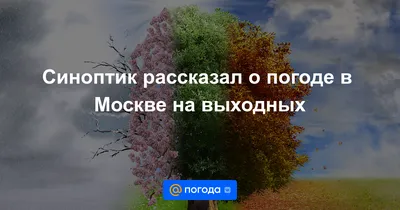 Погода в Москве и Московской области Норвежский сайт YR.no