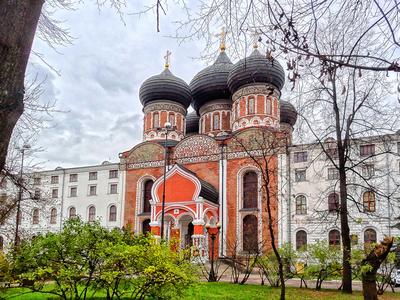 Москва | Фотографии | №565 (Купола Покровского собора)