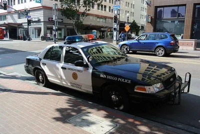 Что делать, если вас остановил полицейский в США - ForumDaily