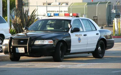 Полицейские автомобили США и Канады. | Пикабу