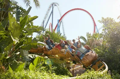 Port Aventura» – Испания (без чаши) Проект - Alpina Fontane