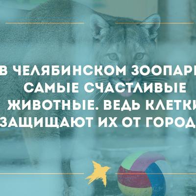 15 самых веселых шуток про самый суровый город России - KP.RU
