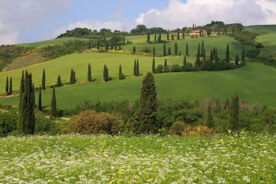 Прекрасная природа Италии | Пикабу