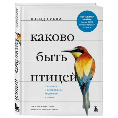 Перелетные птицы из Латвии пользуются популярностью у гурманов Северной  Италии | Sputnik Латвия | Дзен