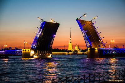 Фото Разведенных Мостов Санкт Петербурга