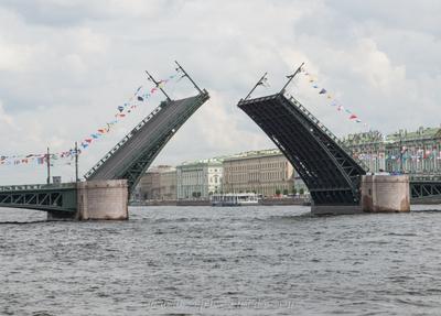 Разводные мосты на карте Петербурга | Развод мостов Петербурга график  разводки 2024