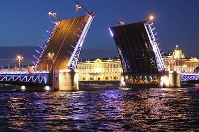 Фото Разведенных Мостов Санкт Петербурга фотографии