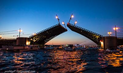 Большой Обуховский мост, Санкт-Петербург: лучшие советы перед посещением -  Tripadvisor