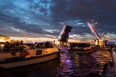 Развод мостов 2024 в Санкт-Петербурге: экскурсии на теплоходах, автобусах,  крышах, цены, отзывы