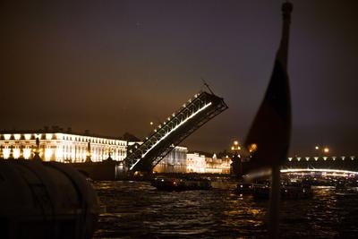 Где и как лучше всего смотреть развод мостов в Санкт-Петербурге | А что в  Петербурге | Дзен