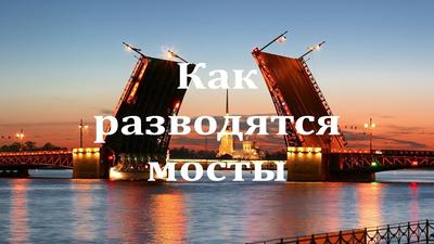 Ночная экскурсия с разводными мостами - обзорная экскурсия с панорамой  разведения мостов в Санкт-Петербурге