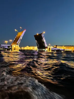 Сухогруз «Элла» проекта U-Type в ожерелье разведенных мостов Санкт- Петербурга — видео — Медиапалуба