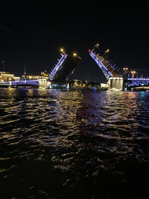Девушка падает в котлован разведенного Троицкого моста в Петербурге, видео  - 4 мая 2023 - ФОНТАНКА.ру
