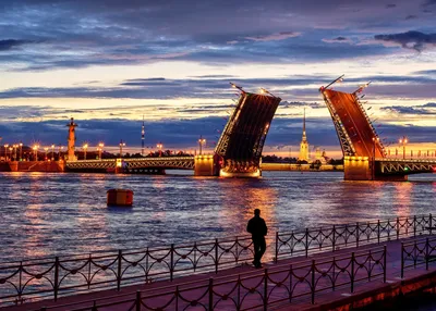 Экскурсии на развод мостов в Санкт-Петербурге, ночные, дневные, цены
