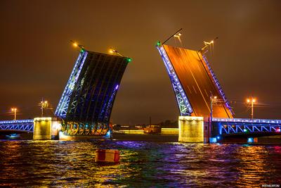 Ночная экскурсия по крышам с видом на Неву и развод мостов — Guideburg, СПб