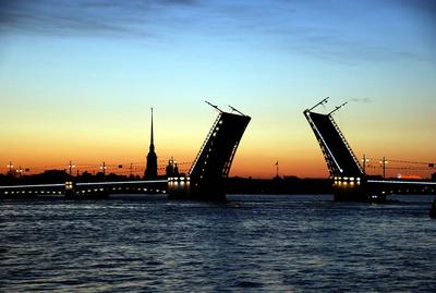 Развод мостов на теплоходе в Санкт-Петербурге 2024: расписание, цены на  экскурсии