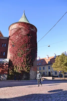 Достопримечательности Старой Риги за 1 день | Stockholm Mania